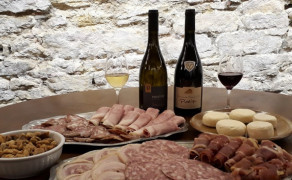 Visite commentée, dégustation vins Bio avec produits fermiers