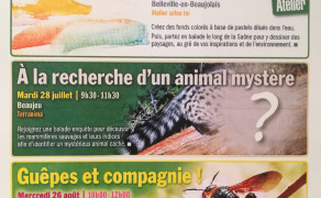 Guêpes et compagnie !