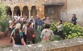 Visite : Jardin du cloître