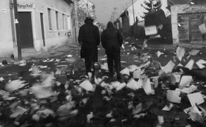 Dix dans un pré #7