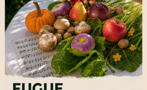 Fugue aux petits oignons