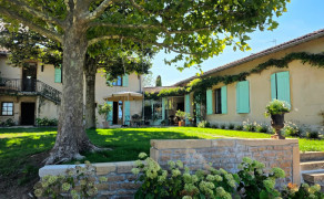 La Balançoire des vignes