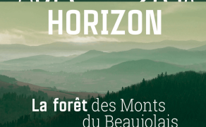 Vert Horizon, la forêt des Monts du Beaujolais