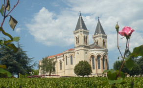 Circuit Vignes et sous bois