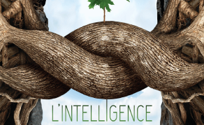 Ciné-rencontre - « L’intelligence des arbres »