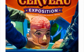 Exposition - Incroyable Cerveau