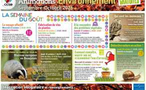 Détective nature en action ! 7-10 ans