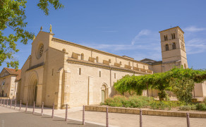 Visite de l'orgue de l'Abbatiale Notre-Dame