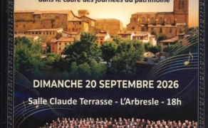 Concert de l'orchestre symphonique de Lyon