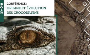 Conférence par J. MARTIN : "Origine et évolution des crocodiliens : 200 millions d’années de surprises"
