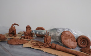 Pack entrée au musée + visite guidée + atelier Faux-Fossiles