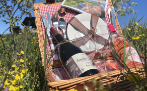 Pique nique fête des vendanges
