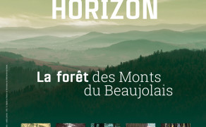 Vert Horizon, la forêt des Monts du Beaujolais