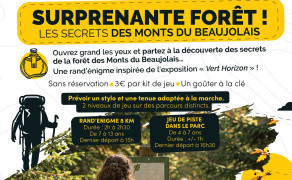 Surprenante forêt !