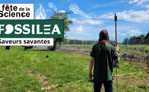 Fête de la Science à Fossilea