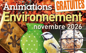 Fabrication de boules de graisse pour les oiseaux