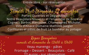 Portes Ouvertes du Domaine de Roche Cattin - Beaujolais Nouveau 2026