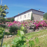 Domaine Lagneau