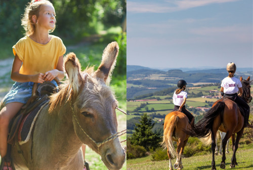 A cheval ou à dos d'âne