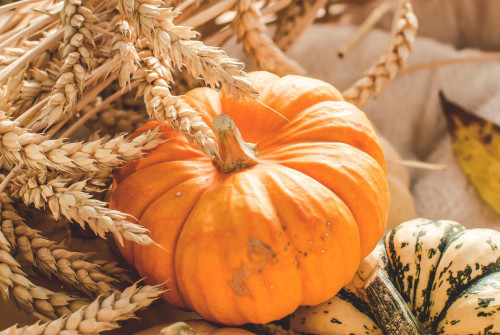 Un automne à déguster
