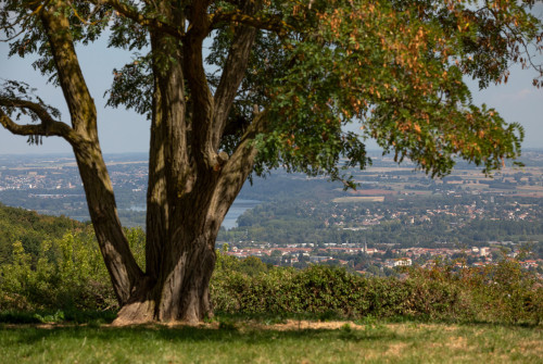GR de pays Beaujolais Bugey
