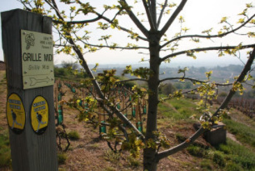 Le Sentier Victor et le Sentier Estelle