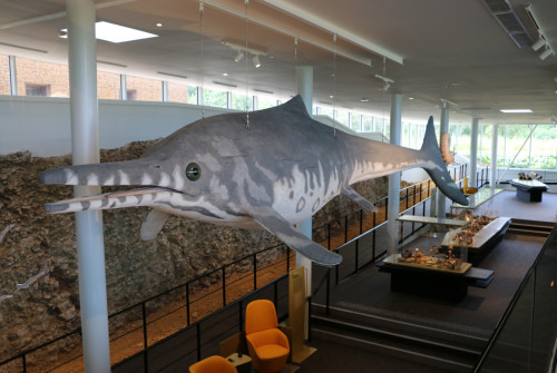 Le Musée Fossilea
