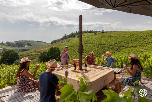 Pique-niques dans les vignes