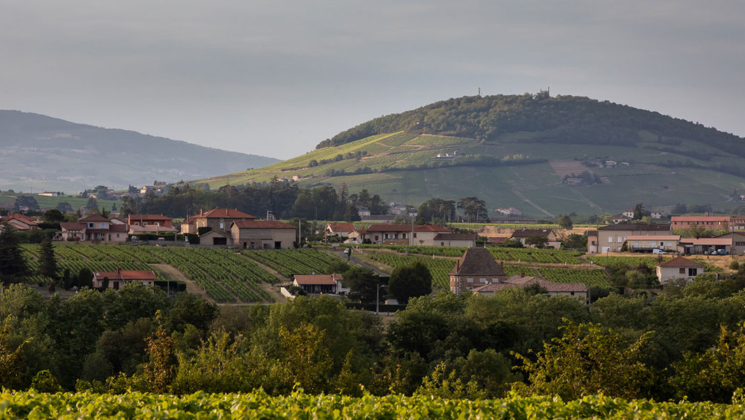 Mont Brouilly - Geopark Beaujolais