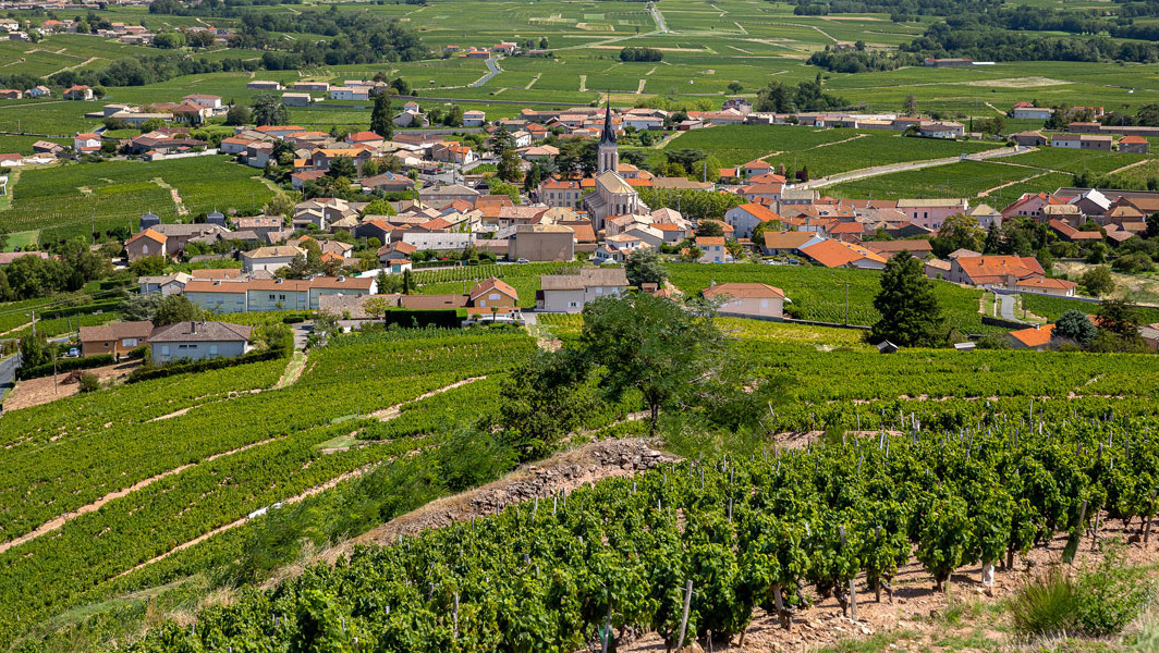 Fleurie Village