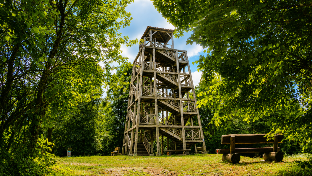 Le Mont Saint-Rigaud