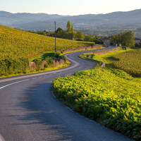 Sur les routes du Beaujolais 

Si vous sillonnez la Route des Vins du Beaujolais cet été, vous aurez la chance de voir de magnifiques points de vue, des paysages mémorables et des expériences inédites dans le vignoble. 

La Route des Vins c'est 140km pour découvrir le Beaujolais, programmez votre circuit sur : https://www.routedesvins-beaujolais.com/

 Etienne Ramousse - Beaujolais Tourisme