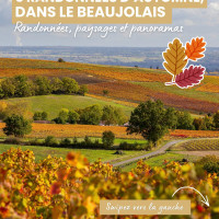 Prêts à prendre un peu de hauteur pour que l’automne vous révèle toutes les plus belles couleurs du Beaujolais.

Que vous cherchiez une balade en famille ou un défi sportif pour le week-end, nous vous proposons 5 idées de randonnées avec point de vue dans le Beaujolais : un beau moyen de découvrir les premiers effets de l’automne sur la région.

 Et vous, c'est quoi votre spot préféré pour contempler le Beaujolais d'en haut ? 

Enregistrez ce post pour votre prochaine sortie du week-end !

 Photos : Etienne Ramousse, L.Zacarias - Beaujolais Tourisme 

#Beaujolais #BeaujolaisTourisme #RandonneeAuvergneRhoneAlpes #RandoRhone #PointsDeVue