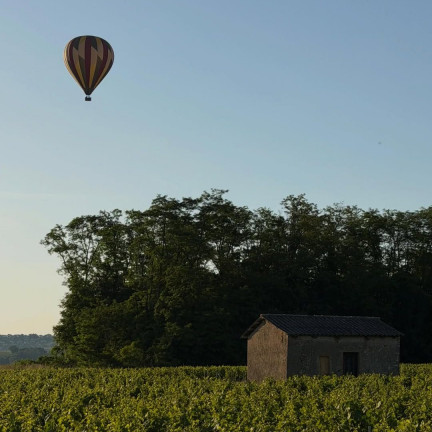Le Beaujolais vu du ciel 

Ces derniers jours si vous êtes dans les Pierres Dorées, vous avez peut eu la chance de voir une montgolfière passer dans le ciel 

  Merci pour le partage bildimeyes 

#beaujolais #montgolfiere #tourisme #vignes #autourdelyon