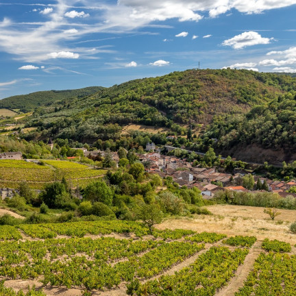 Beaujeu, capitale historique du Beaujolais 

Découvrez en image la Capitale Historique du Beaujolais, bâtie par les Sires de Beaujeu? dont le territoire était étendu des Plaines de la Saône à la Loire.

Lors de votre visite, n'oubliez pas de passer à La Maison du terroir beaujolais  pour faire le plein de souvenirs et produits gourmands, déambuler dans l'espace de visite, et admirer la Cour intérieure, elle vaut le détour ! 

#beaujeu #beaujolais #vignoble #vignes #tourisme