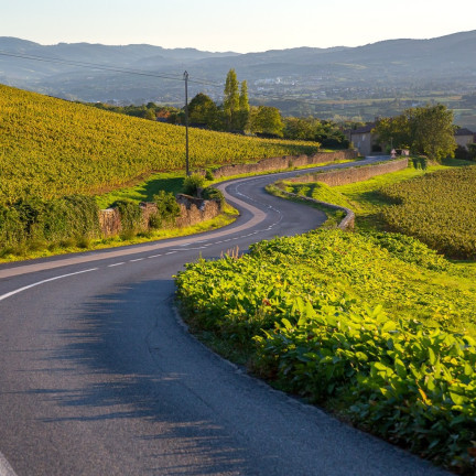 Sur les routes du Beaujolais 

Si vous sillonnez la Route des Vins du Beaujolais cet été, vous aurez la chance de voir de magnifiques points de vue, des paysages mémorables et des expériences inédites dans le vignoble. 

La Route des Vins c'est 140km pour découvrir le Beaujolais, programmez votre circuit sur : https://www.routedesvins-beaujolais.com/

 Etienne Ramousse - Beaujolais Tourisme